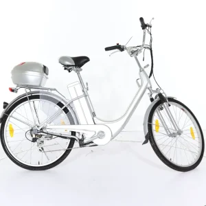 Viron Motors City Bike 250 Laatste Versie