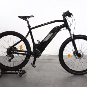 Alleen Vandaag Rockrider E-ST 500