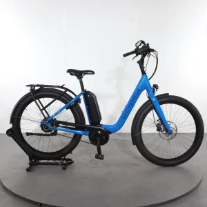 Victoria eUrban 11.9 Premium