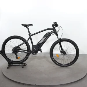 Hoge Kwaliteit Riverside E-ST 500