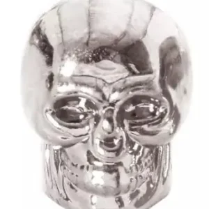 Oxford Skull zilveren ventieldopjes Koop Vandaag