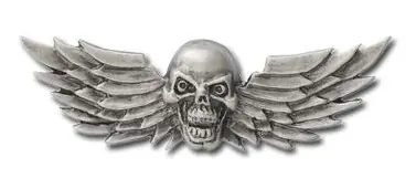 Nalepovací emblém Skull Wings Veilige Betaling