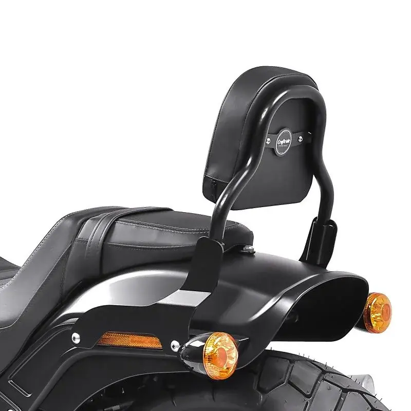 Alleen Vandaag Sissybar CSS Fix passend voor Harley Davidson Fat Bob / 114 18-25 zwart Craftride