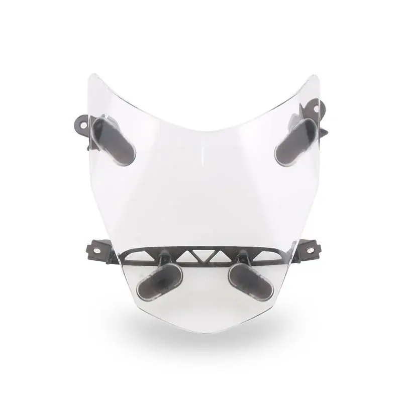 Direct Beschikbaar Koplampbeschermer compatibel met BMW R 1300 GS 23-26 Afdekking Lumitecs BS5