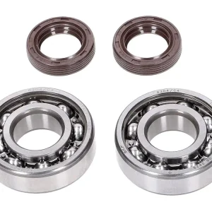 Krukaslager Set Naraku SKF / FKM Premium C4 Metalen kooi voor Peugeot horizontaal Op = Op