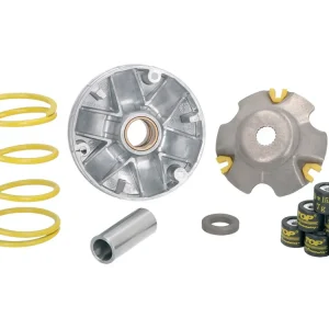 Express Levering Vario Top Performances TPR GP voor Piaggio 1998