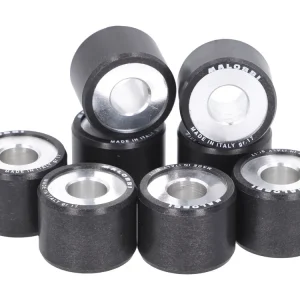 Aanbieding Variorollen Malossi HT 25x19mm - 17,0g