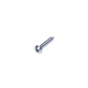 Direct Beschikbaar Plaatwerk schroef OEM Kruiskop zilvern 3,5x19mm