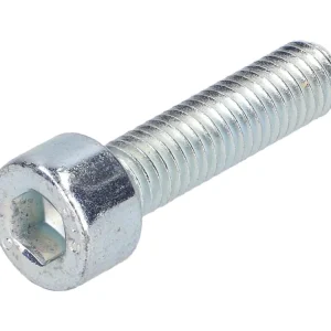 Koop Vandaag Schroef M5x20 inbus verzinkt