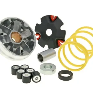 Shop Nu Vario Malossi Multivar voor Honda MTX, NSR