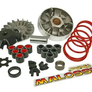 Exclusieve Aanbieding Vario Malossi Overrange voor Minarelli