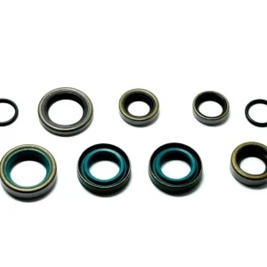 Simmerring- en O-Ring-Set 9-delig voor Kreidler, Florett Eiertank, LF LH, K54/32 Op = Op