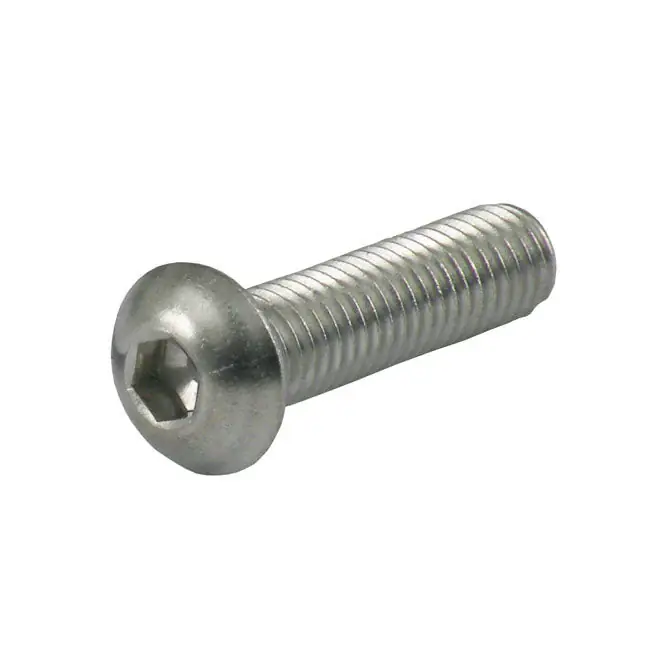 Favoriet GW Knoopkop inbusbout roestvrij M10 5-pak 16mm