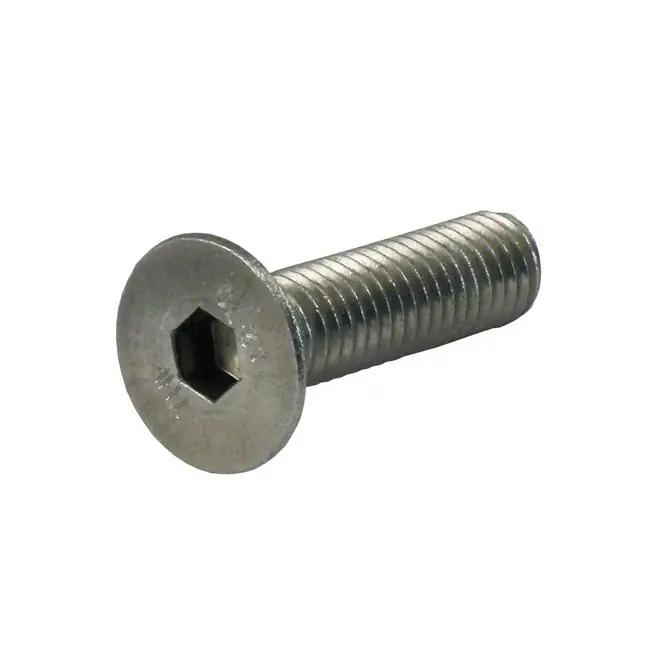 Rechtstreeks Van De Fabrikant GW platte inbusbout roestvrij M4 5-pak 16mm