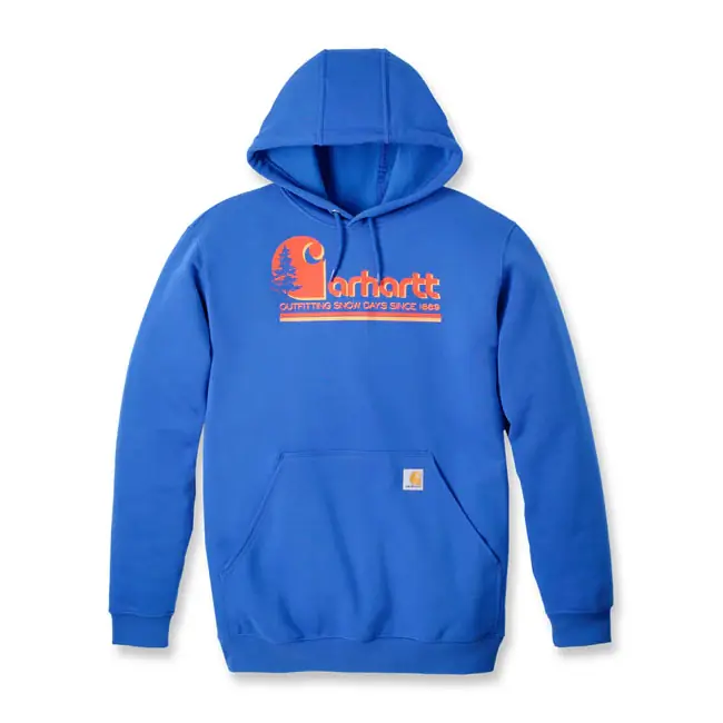 Carhartt Grafische Hoodie Beacon Blue / M Shop Nu