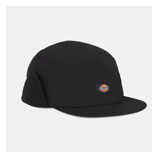 Betrouwbaar Dickies Glendive pet Black