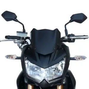 Fabbri windscherm Kawasaki Z750R satijn zwart Koop Online